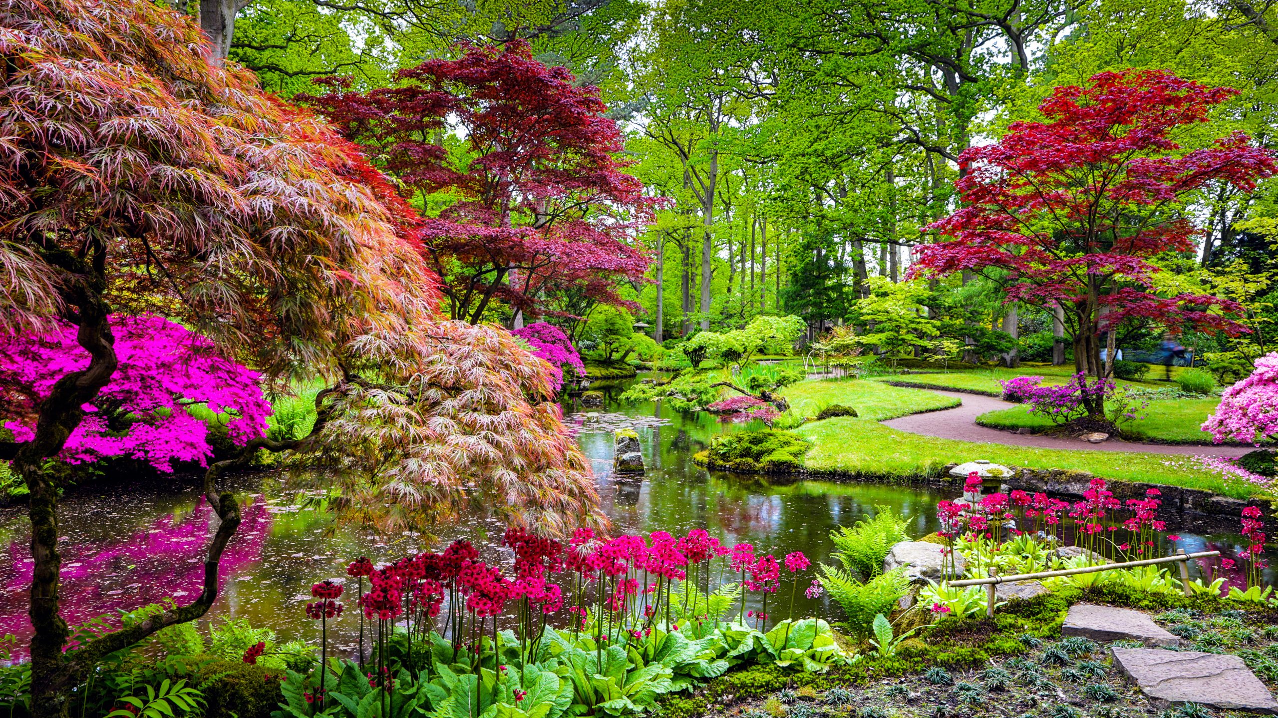 Colorido jardín de agua de estilo japonés
