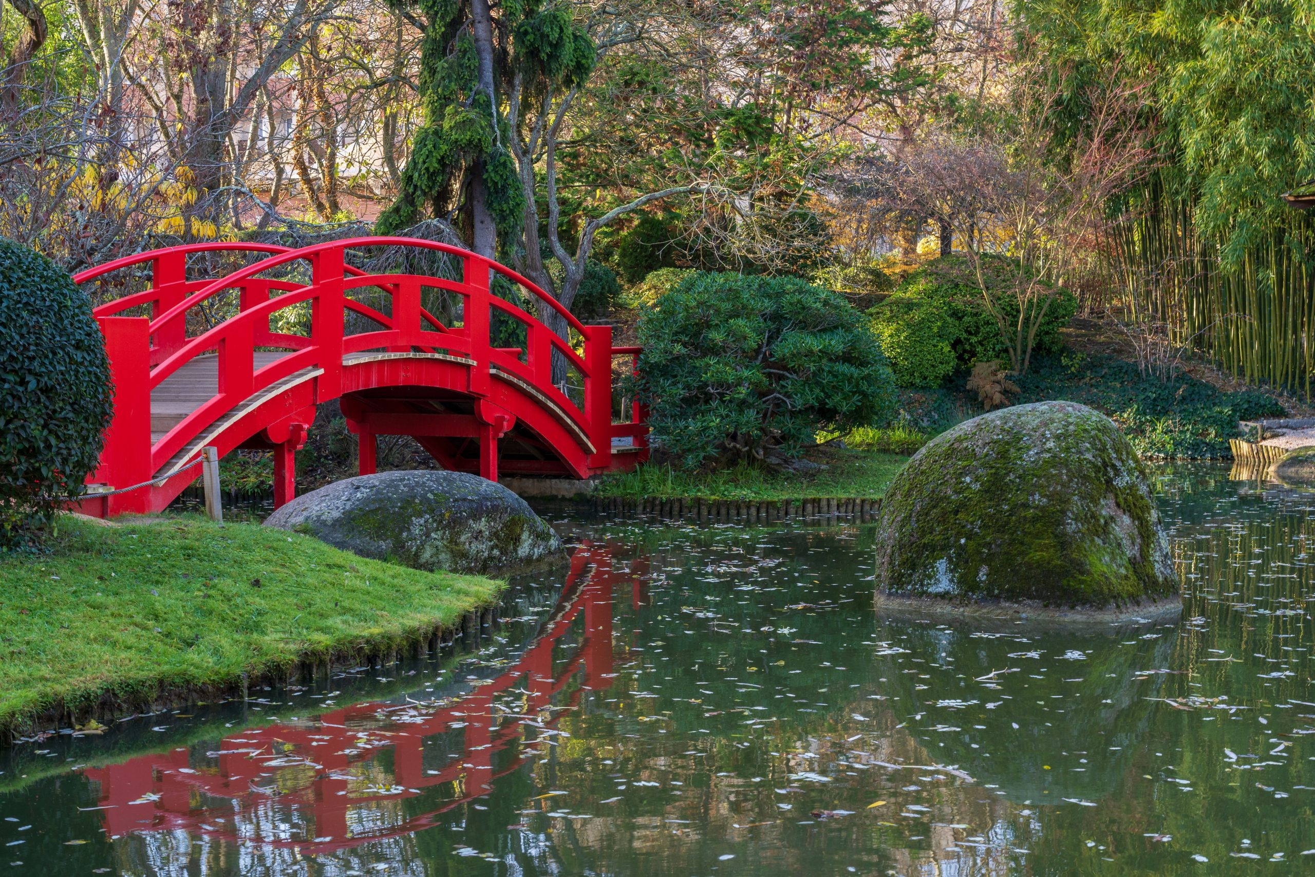 Jardín de paseo oriental con puente rojo